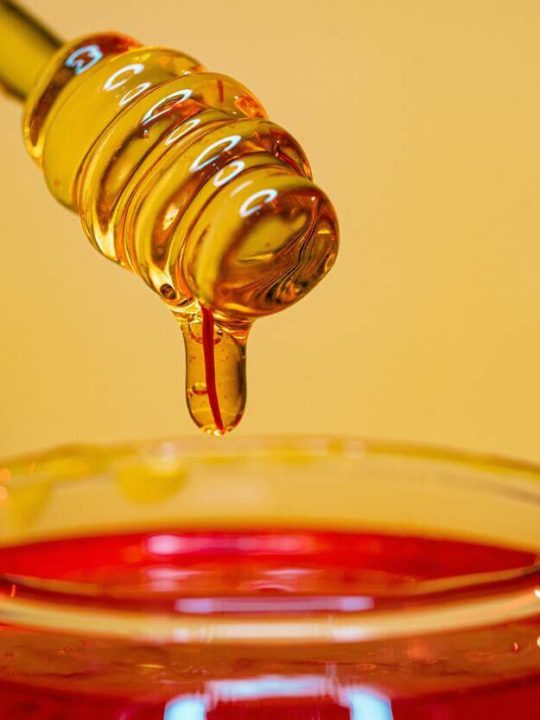 What Is The Best Quality Honey In The World
