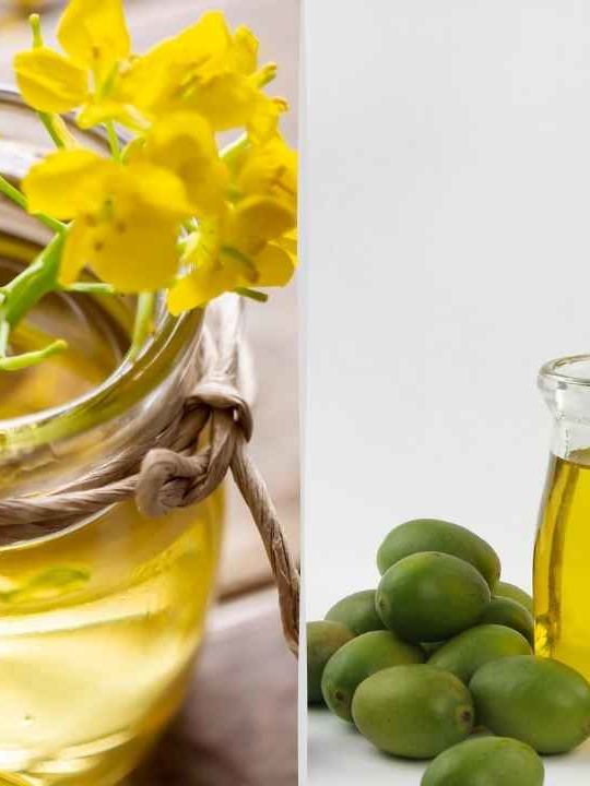 Can You Substitute Canola Oil For Olive Oil