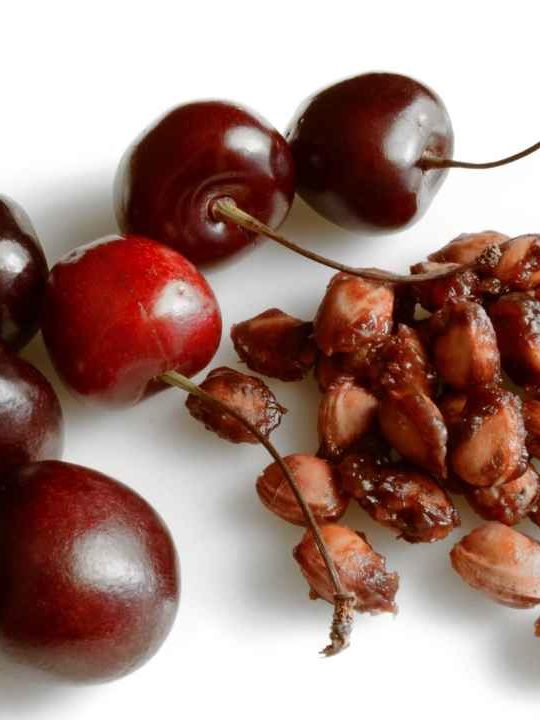 How Many Cherry Seeds Can Kill You