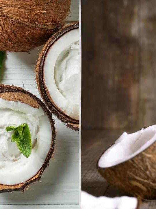 Can You Substitute Coconut Cream For Coconut Milk