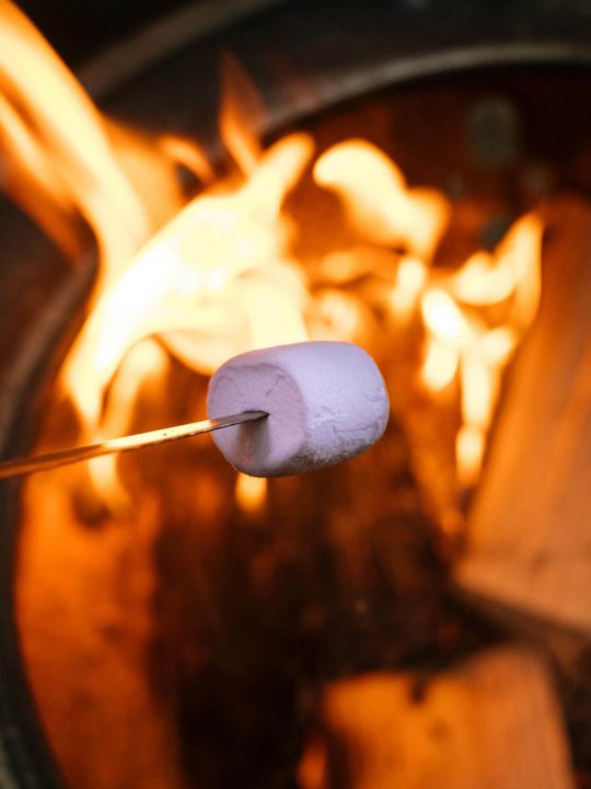 Can You Roast Marshmallows On A Gas Stove