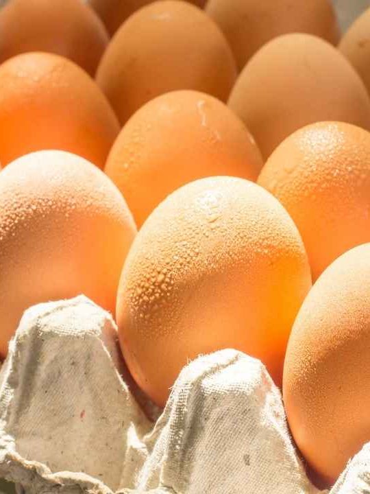 How Much Do Eggs Cost At Costco