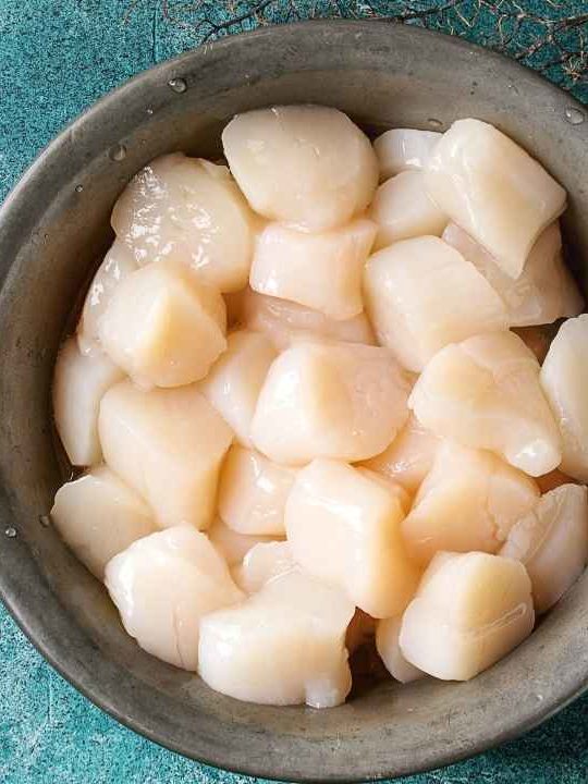 How To Boil Scallops