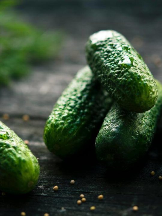 Can You Eat Dill Pickles On Keto