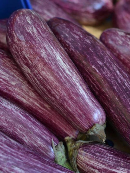 How To Preserve Eggplant