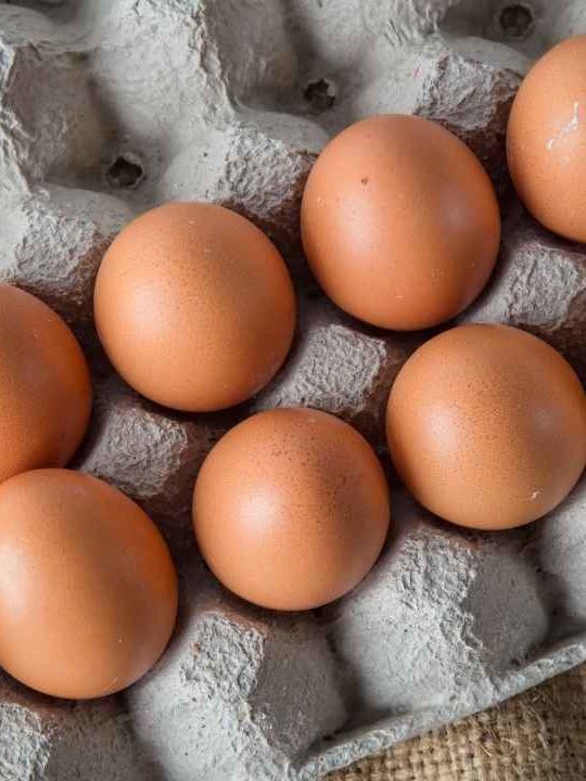 Can You Get Sick From Eating Old Eggs