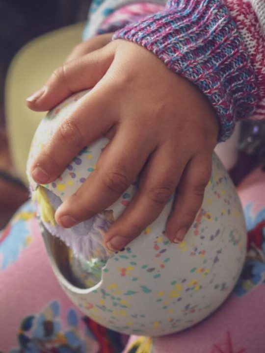How To Remove Hatchimal From An Egg