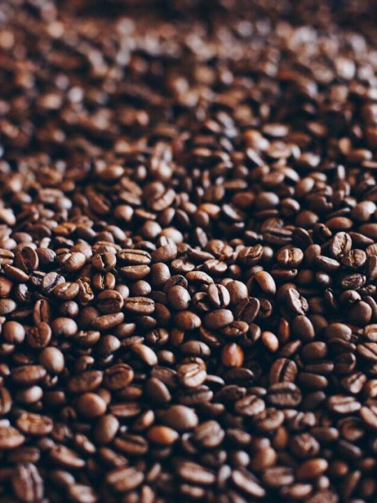 Which Are The Best Turkish Coffee Beans
