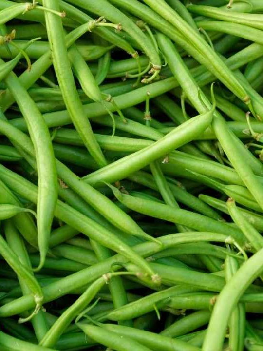 Can You Eat Green Beans Raw