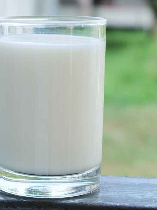 What To Do If I Accidentally Drank Spoiled Milk