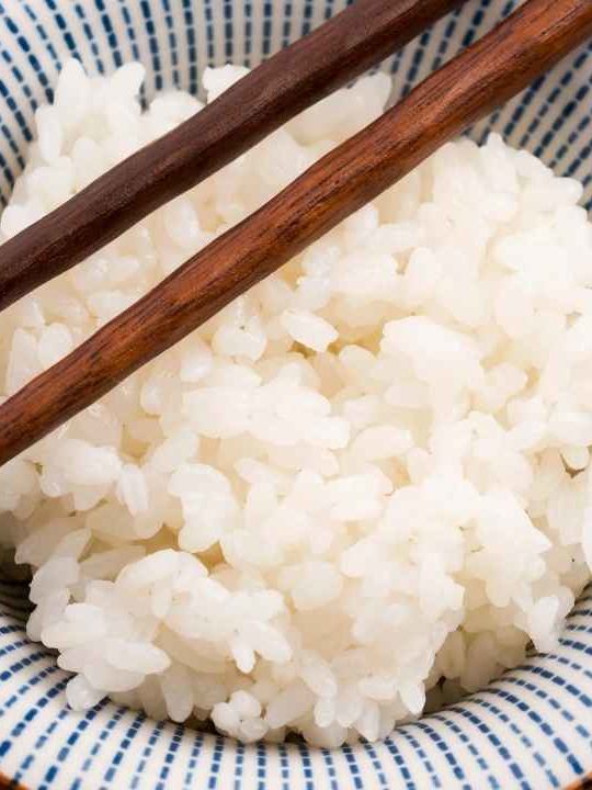 Can You Freeze Sushi Rice