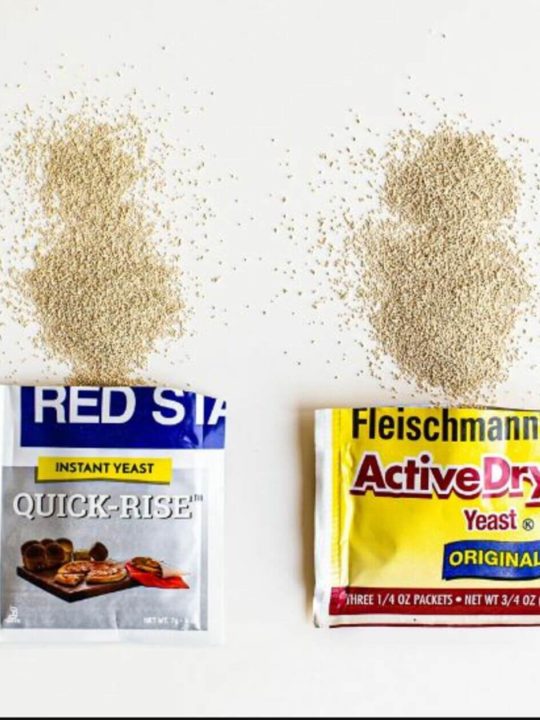 Difference Between Active Dry Yeast And Fast Rising Yeast