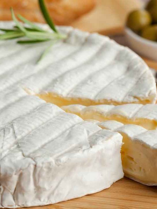Can Brie Cheese Go Bad