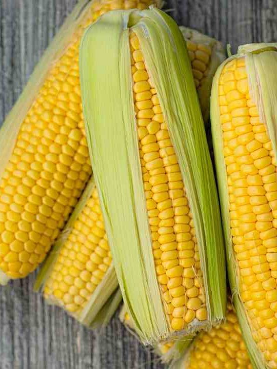 Can Corn Cause Constipation