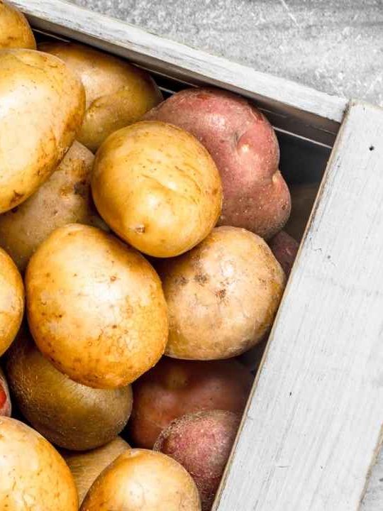 Can Potatoes Go Bad