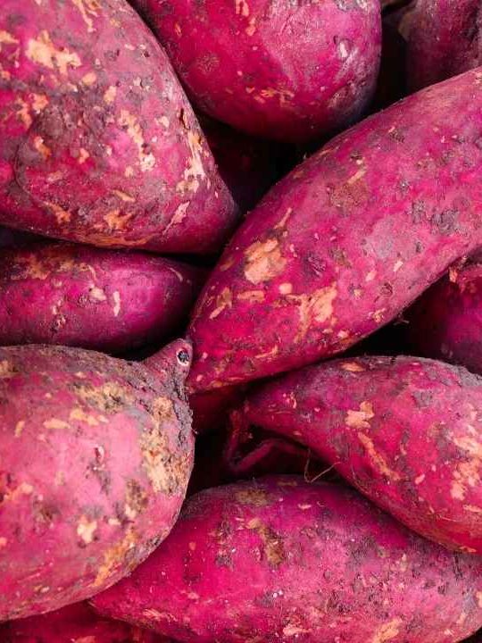 Can Sweet Potatoes Go Bad?