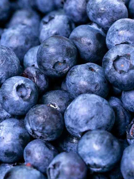 Can You Eat Blueberries Without Washing Them