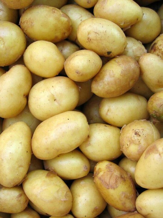 Are Soft Potatoes Bad