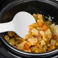 food in an instant pot