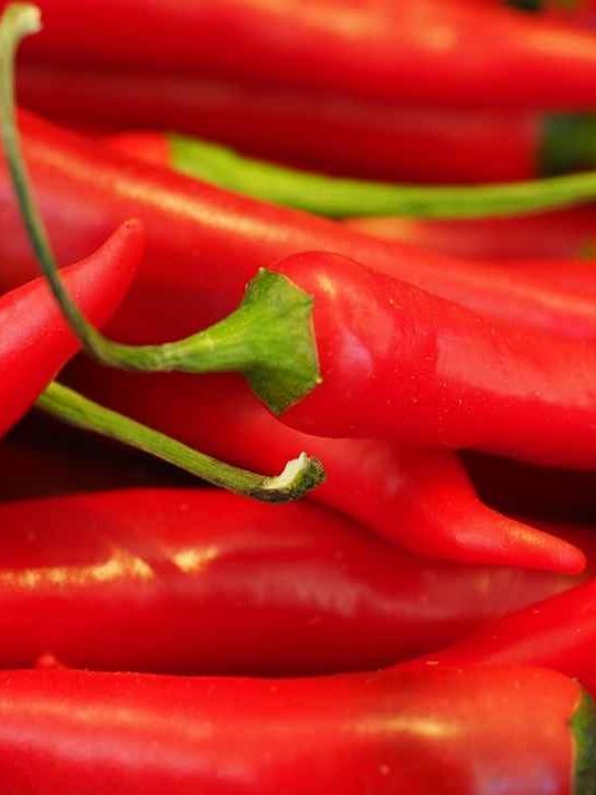 How To Reheat Chili In An Instant Pot