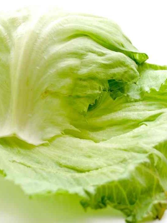 Is It Necessary To Wash Iceberg Lettuce