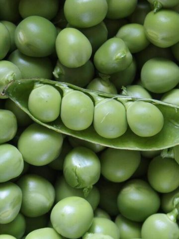How To Preserve Green Peas