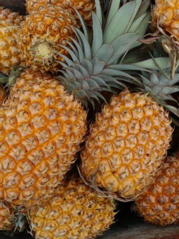 Do Pineapples Have Seeds