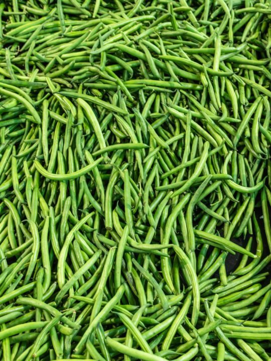 How To Preserve Green Beans