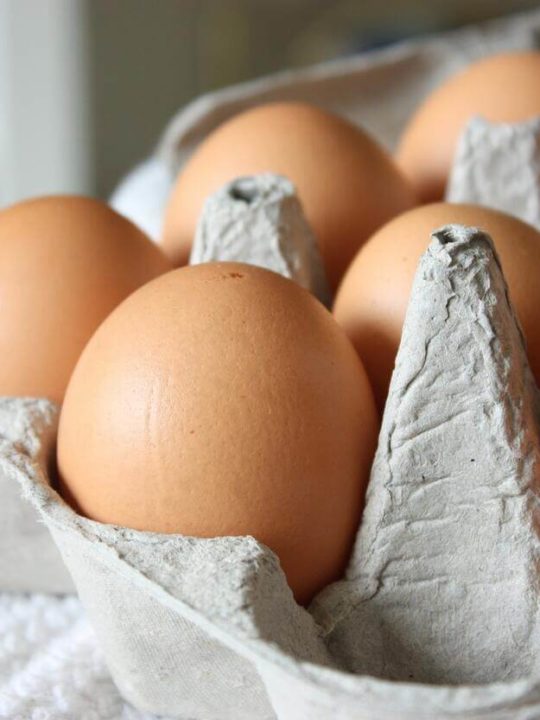 How Long Are Organic Eggs Good For In The Fridge