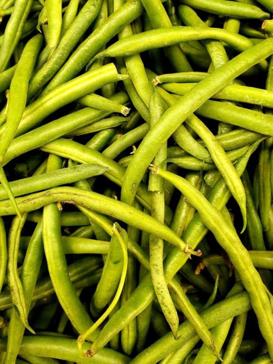 Difference Between String Beans And Green Beans