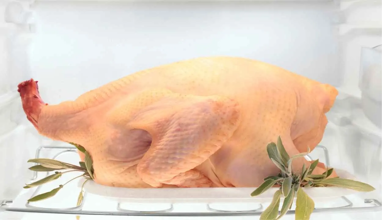 turkey in the fridge