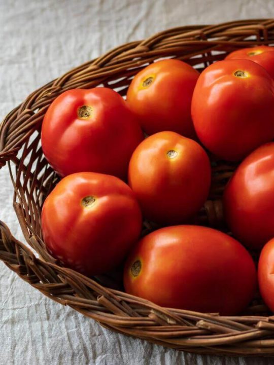 How To Preserve Fresh Tomatoes