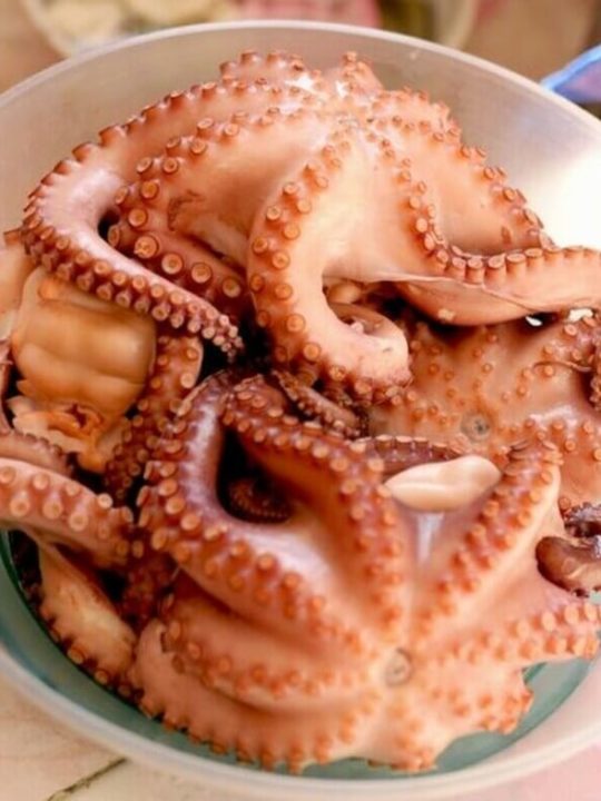 Can You Eat Live Octopus