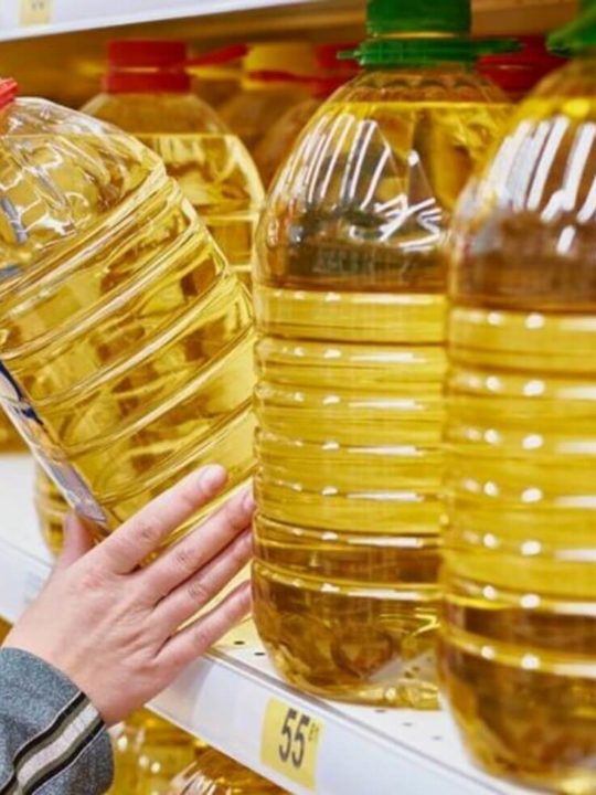 Can You Use Vegetable Oil Instead Of Canola Oil