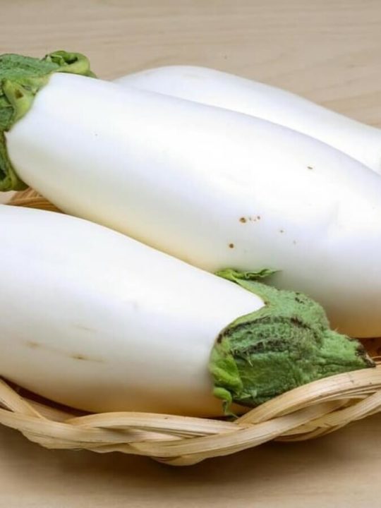 What Does White Eggplant Taste Like