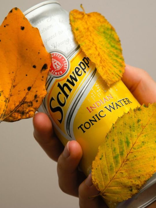 Does Tonic Water Go Bad