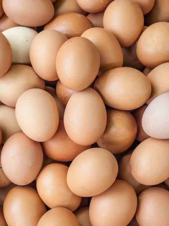Are Eggs Dairy Or Poultry