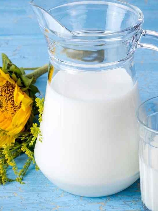 Can You Drink Evaporated Milk Like Regular Milk