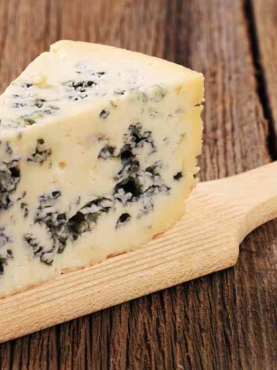 Can You Eat Blue Cheese If You Are Allergic To Penicillin
