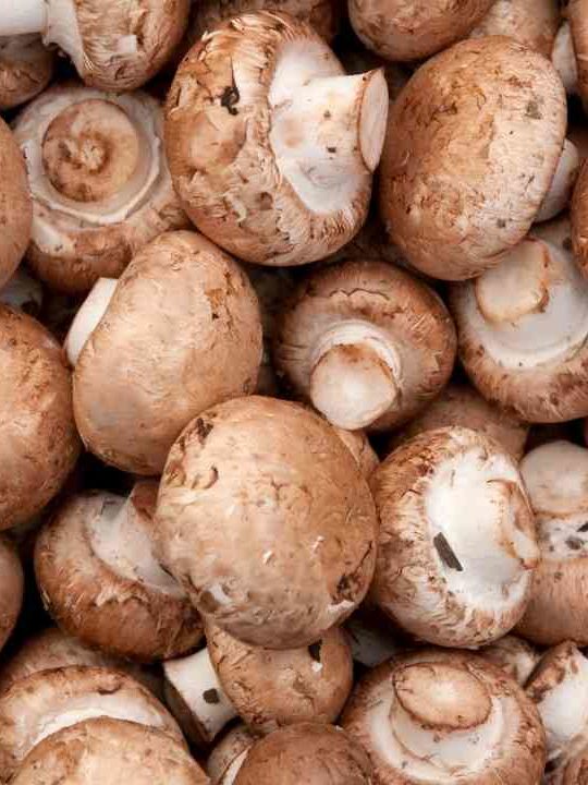 Can You Eat Button Mushroom Raw