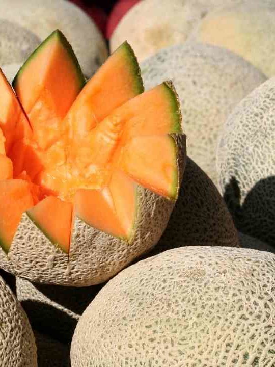 Can You Eat Cantaloupe On A Keto Diet