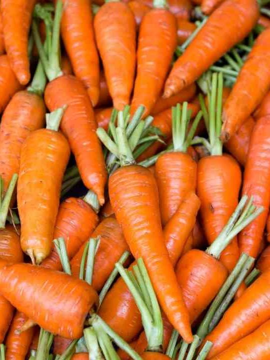 Can You Eat Carrots Past The Expiration Date