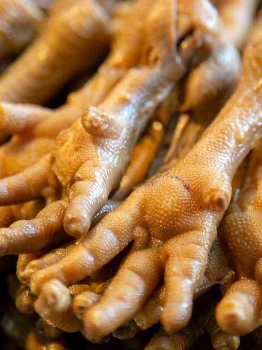 Can You Eat Chicken Feet