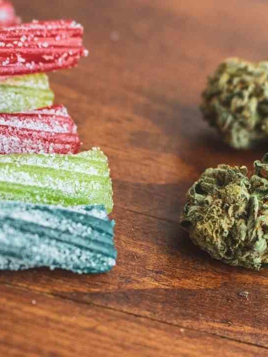 Can You Eat Edibles While Pregnant
