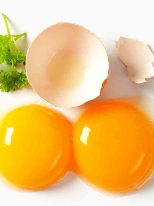 Can You Eat Egg Yolk While Pregnant
