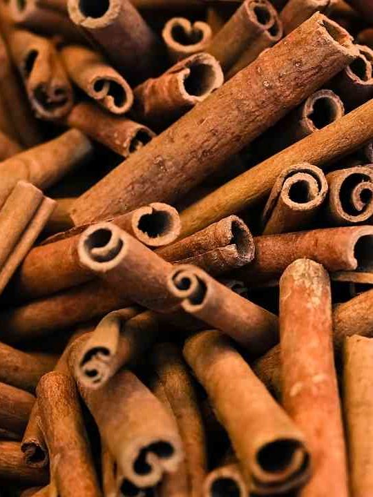 Can You Grate Cinnamon Sticks
