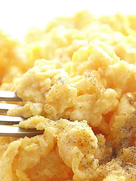 Can You Refrigerate And Reheat Scrambled Eggs