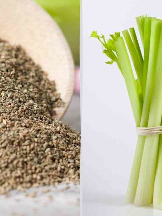 Can You Substitute Celery Seed For Celery