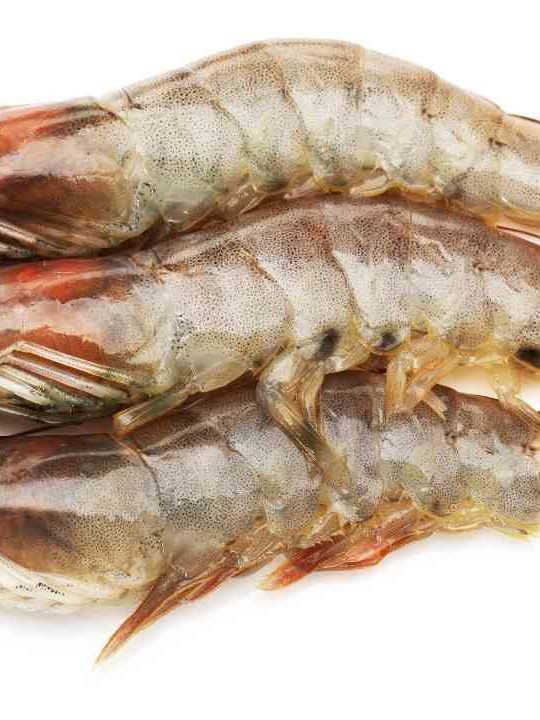 How Long Will Raw Shrimp Last In The Fridge