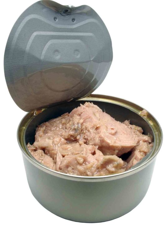 How Much Tuna Can A Cat Eat